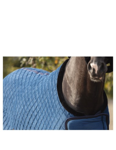 ANKY® Show Rug Velvet ATB23011