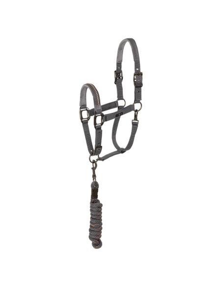 ANKY® halter and Lead stones ATH23001