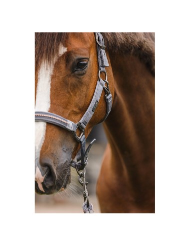 ANKY® halter and Lead stones ATH23001