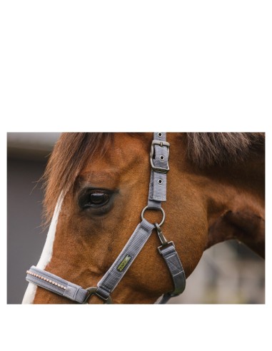 ANKY® halter and Lead stones ATH23001