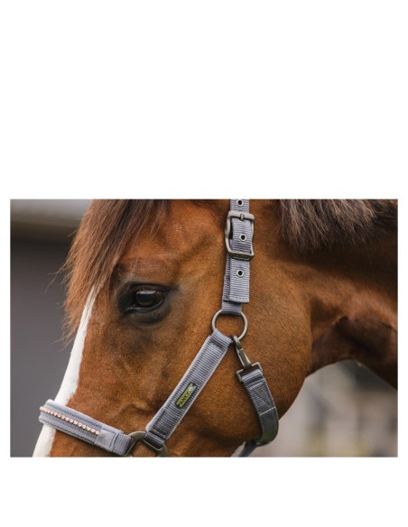ANKY® halster en lijn Stones ATH23001