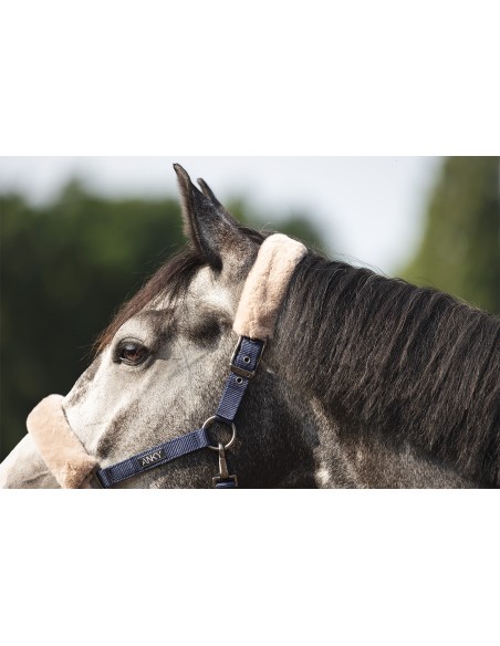 ANKY® Halter and Lead Check Velvet ATH25002