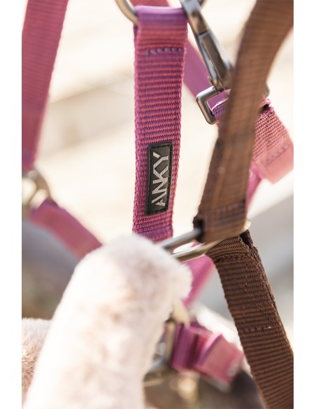 ANKY® Halter and Lead Check Velvet ATH25002