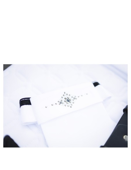 ANKY® Stock Tie Luminous ATP24501