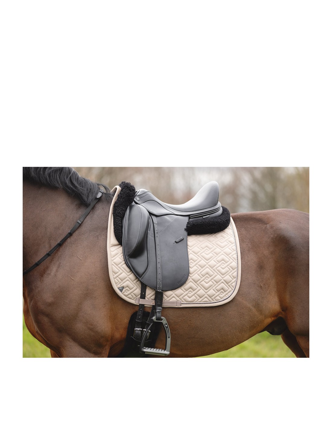 ANKY® pad Professional dressuur... ANKY® pad Professional dressuur...