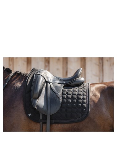 ANKY® Nylon Pad Luminous Dressage XB24003