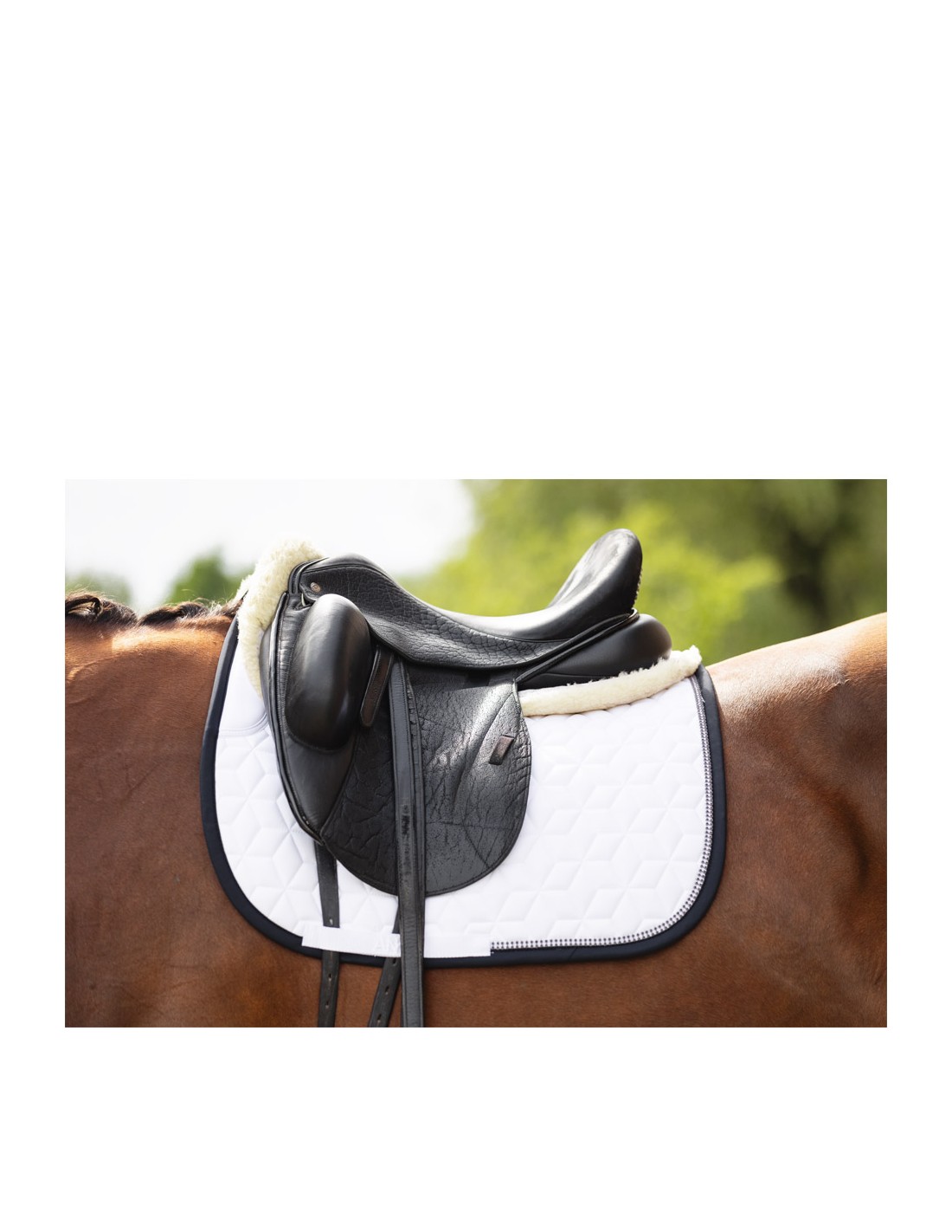 ANKY® pad Consensus Nylon dressuur ANKY® pad Consensus Nylon dressuur