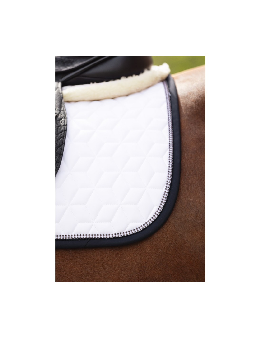 ANKY® pad Consensus Nylon dressuur ANKY® pad Consensus Nylon dressuur