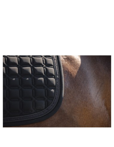 ANKY® Nylon Pad Luminous Dressage XB24003