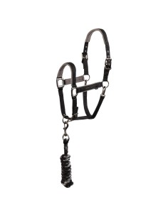 ANKY® Halter & Lead Rope...