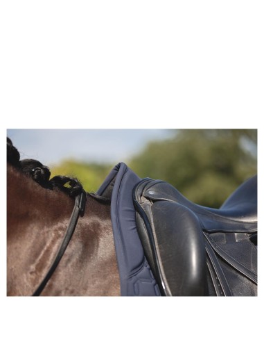 ANKY® Nylon Pad Luminous Dressage XB24003
