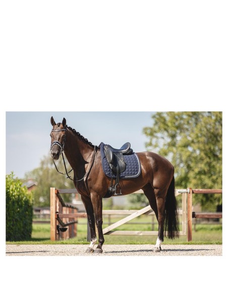 ANKY® Nylon Pad Luminous Dressage XB24003