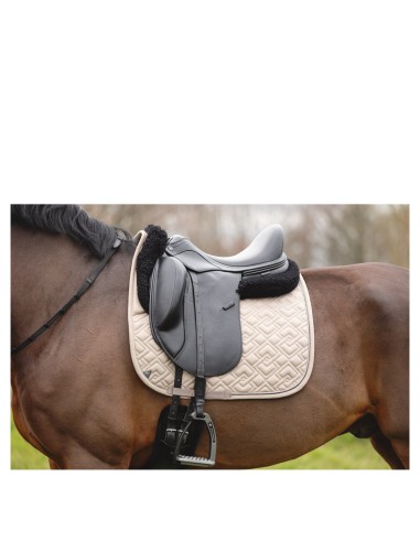 ANKY® Professional Pad Dressage XB25001 3C