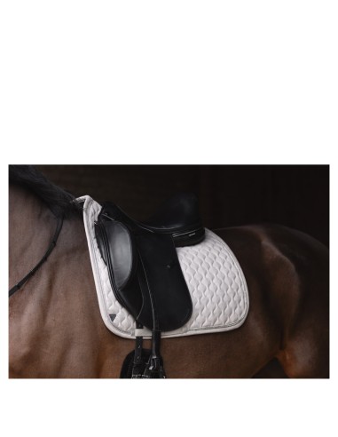 ANKY® pad dressuur XB25002