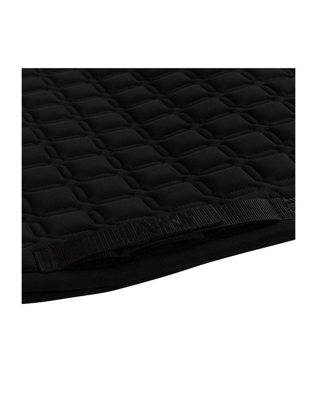 ANKY® Nylon Pad Luminous Dressage... ANKY® Nylon Pad Luminous Dressage...