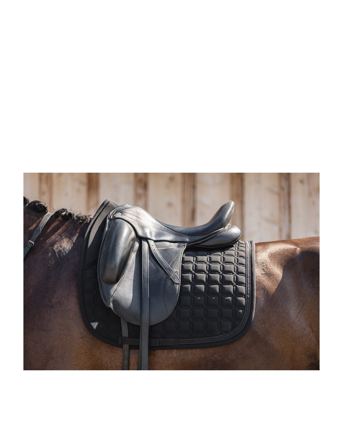ANKY® Nylon Pad Luminous Dressage... ANKY® Nylon Pad Luminous Dressage...
