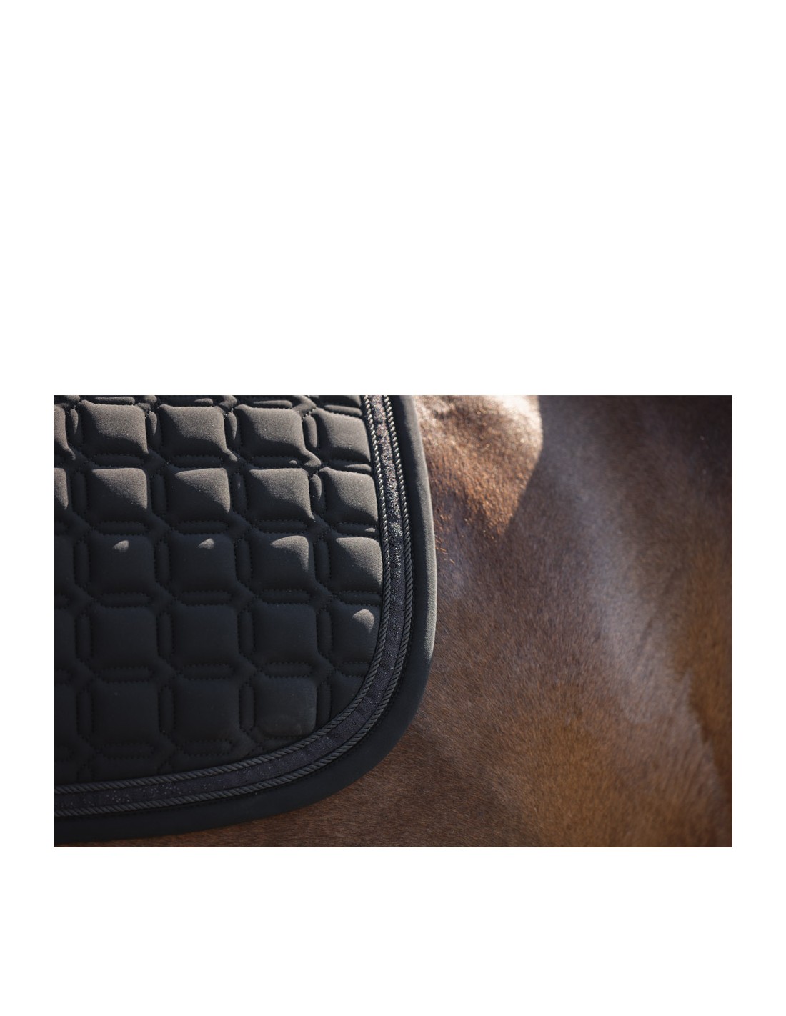 ANKY® Nylon Pad Luminous Dressage... ANKY® Nylon Pad Luminous Dressage...