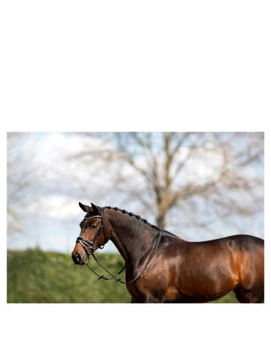 ANKY® hoofdstel ATH16003
