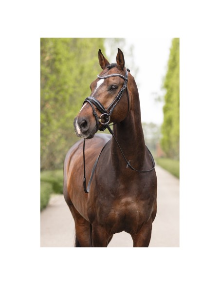 ANKY® hoofdstel ATH16003