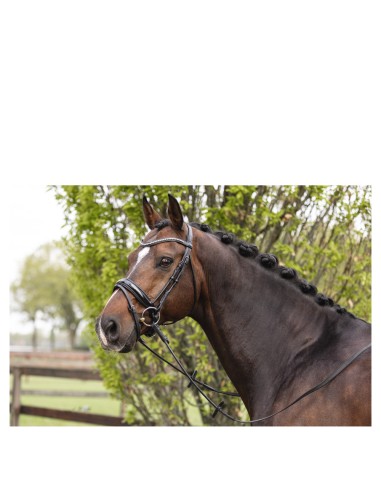 ANKY® hoofdstel ATH16003