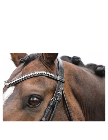 ANKY® hoofdstel ATH16003