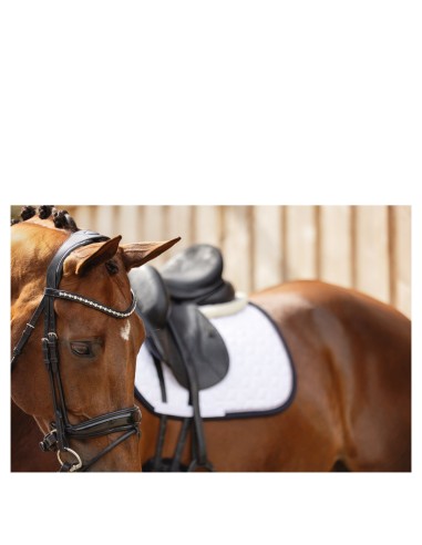 ANKY® Bridle Comfort Fit Double Anatomical ATH19002