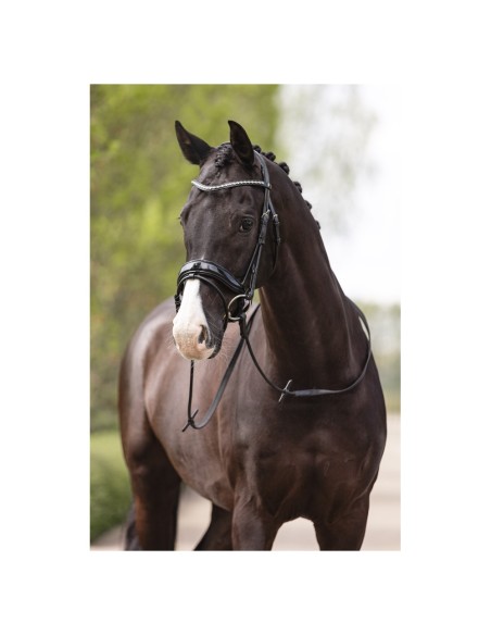 ANKY® hoofdstel Comfort Fit Double Anatomical ATH19002