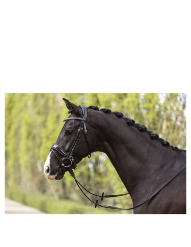 ANKY® hoofdstel Comfort Fit Double Anatomical ATH19002