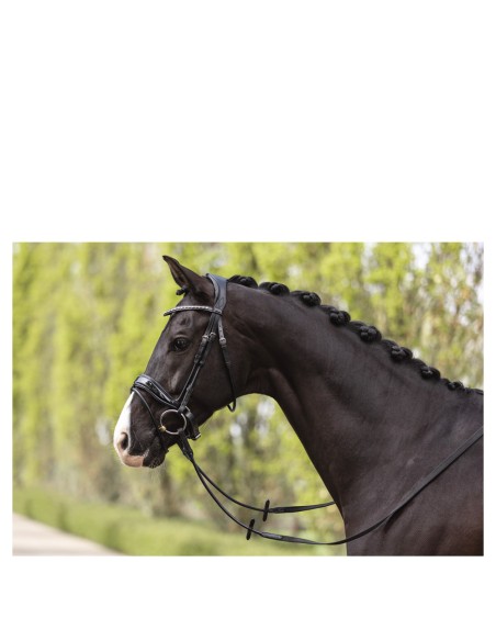 ANKY® Bridle Comfort Fit Double Anatomical ATH19002
