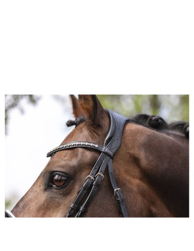 ANKY® Bridle Comfort Fit Double Anatomical ATH19002