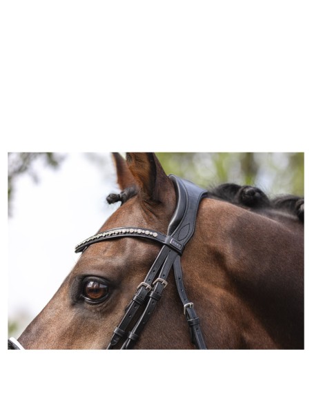 ANKY® Bridle Comfort Fit Double Anatomical ATH19002