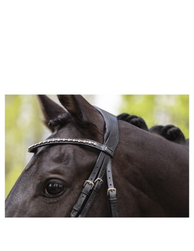 ANKY® Bridle Comfort Fit Double Anatomical ATH19002