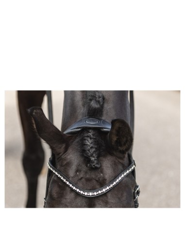 ANKY® Bridle Comfort Fit Double Anatomical ATH19002