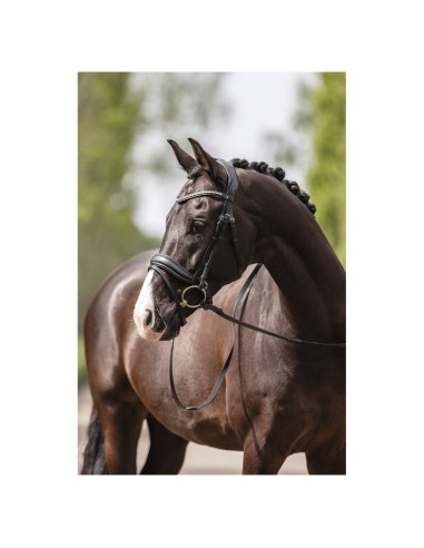 ANKY® Bridle Pullback Noseband ATH19003