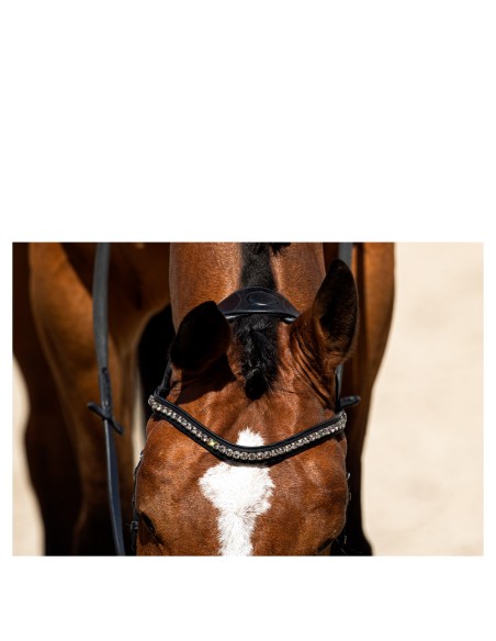 ANKY® hoofdstel Pullback Noseband ATH19003