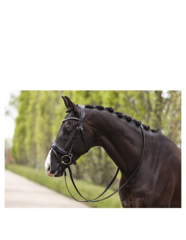 ANKY® hoofdstel Pullback Noseband ATH19003
