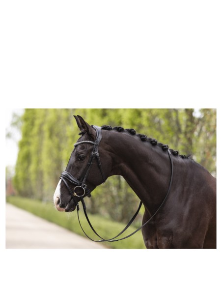 ANKY® Bridle Pullback Noseband ATH19003