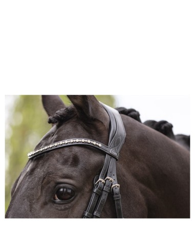 ANKY® Bridle Pullback Noseband ATH19003