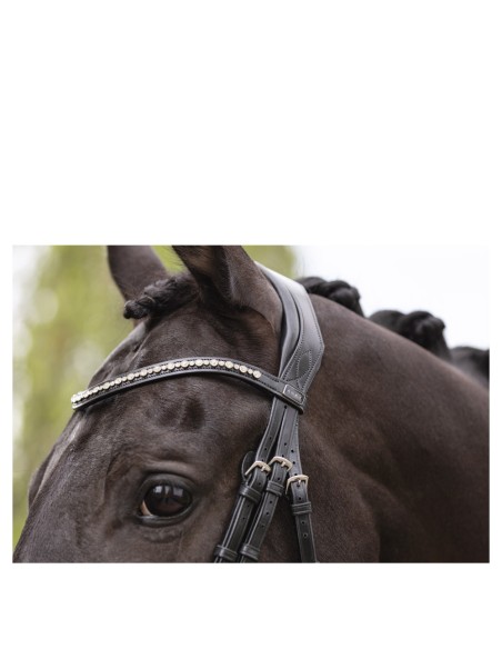 ANKY® Bridle Pullback Noseband ATH19003
