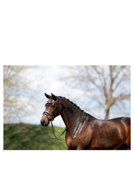 ANKY® Bridle ATH20005