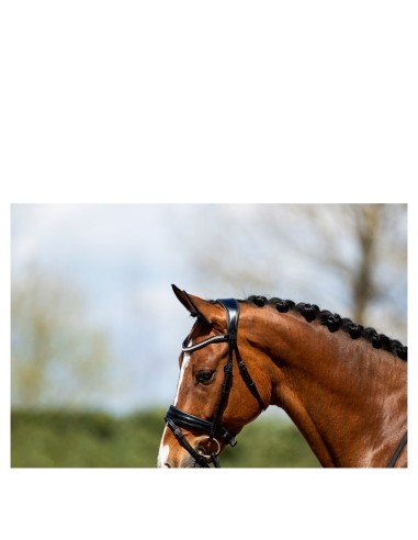 ANKY® Bridle ATH20005