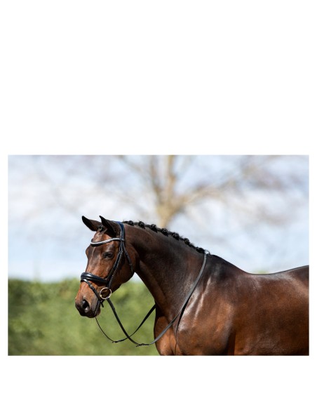 ANKY® Bridle ATH20004