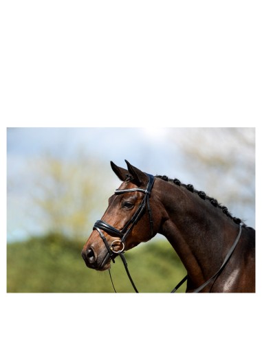 ANKY® Bridle ATH20004