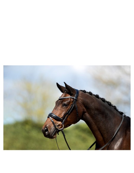 ANKY® Bridle ATH20004