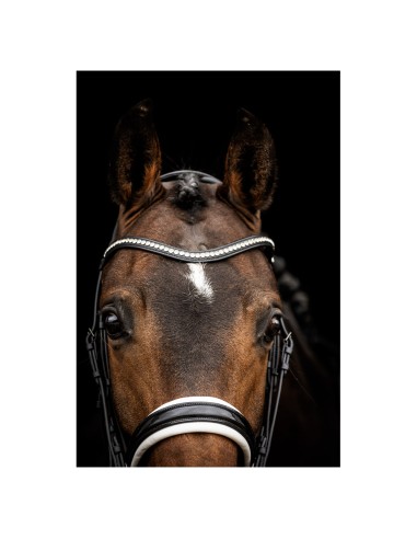 ANKY® Double Bridle ATH23002