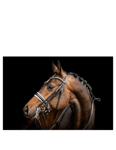 ANKY® Double Bridle ATH23002