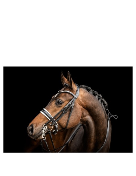 ANKY® Double Bridle ATH23002