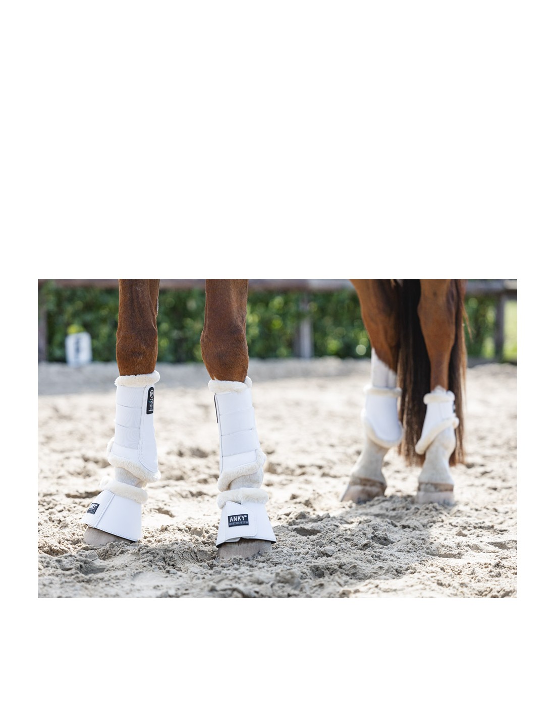 ANKY® Active Gel Impact Horse Boots... ANKY® Active Gel Impact Horse Boots...