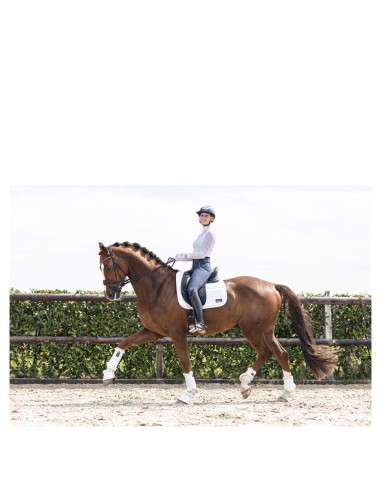 ANKY® Active Gel Impact Horse Boots ATB22001