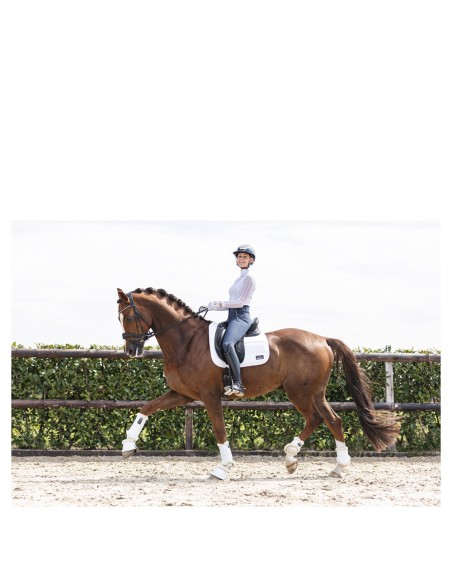 ANKY® Active Gel Impact Horse Boots ATB22001